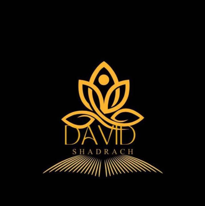 Davidshadrachblog